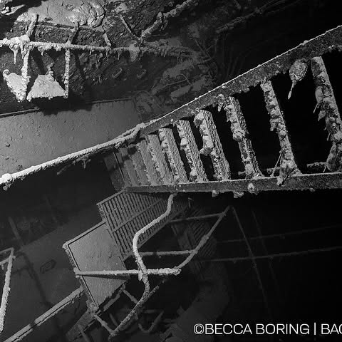 Post by backscattervideophoto