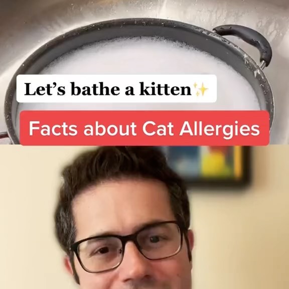 Post by rubin_allergy