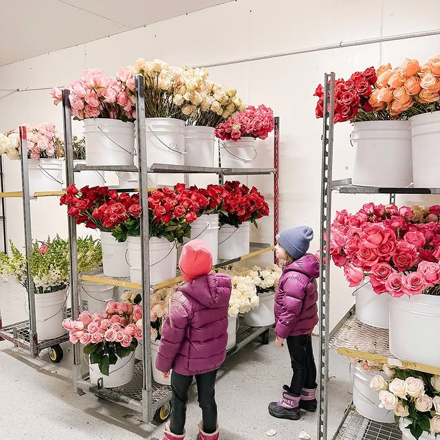 Post by rachelaclingen