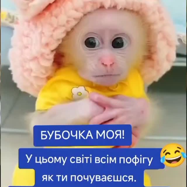 Post by infinity_dream_ua