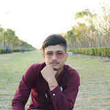 Ribesh's profile picture