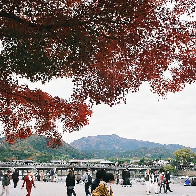 Post by japan_life365