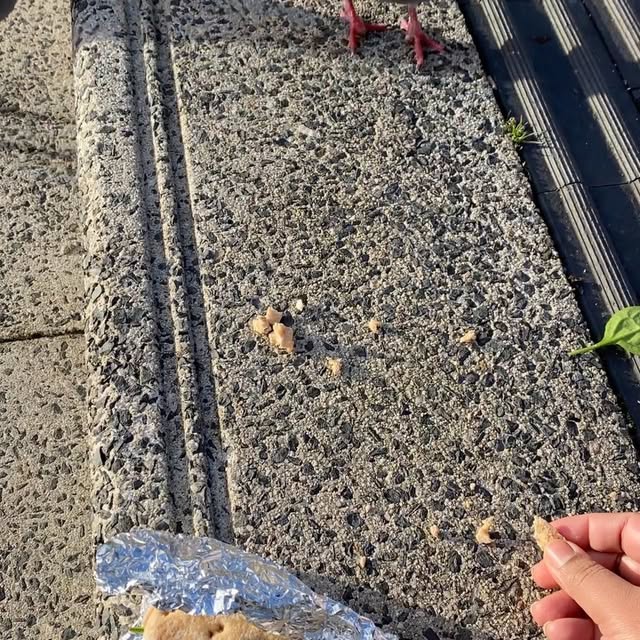 Post by thehungerplatter