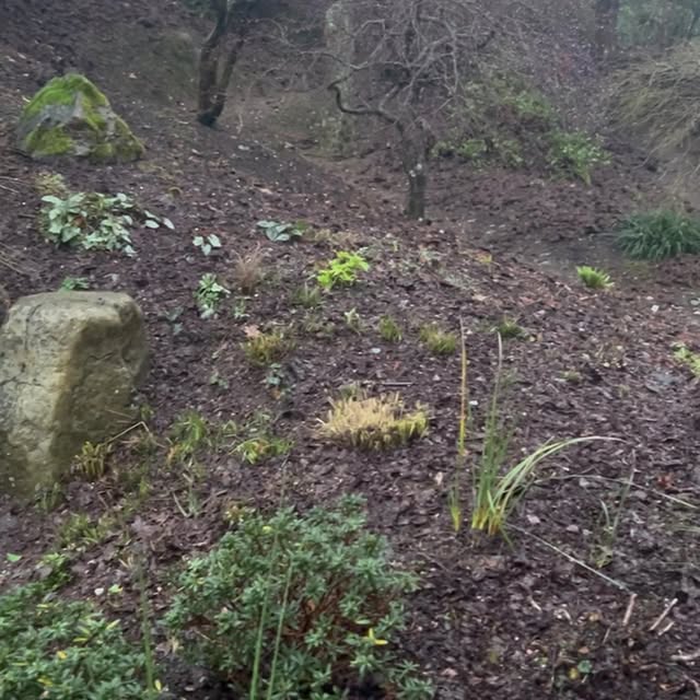 Post by wildsidegarden