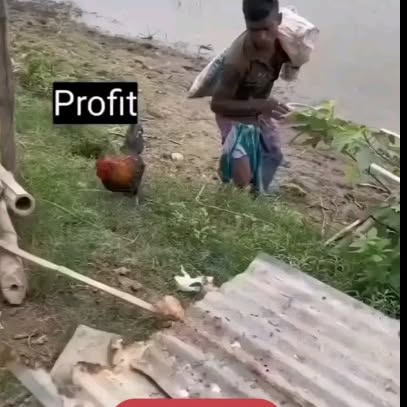 Post by stockmarketindia____