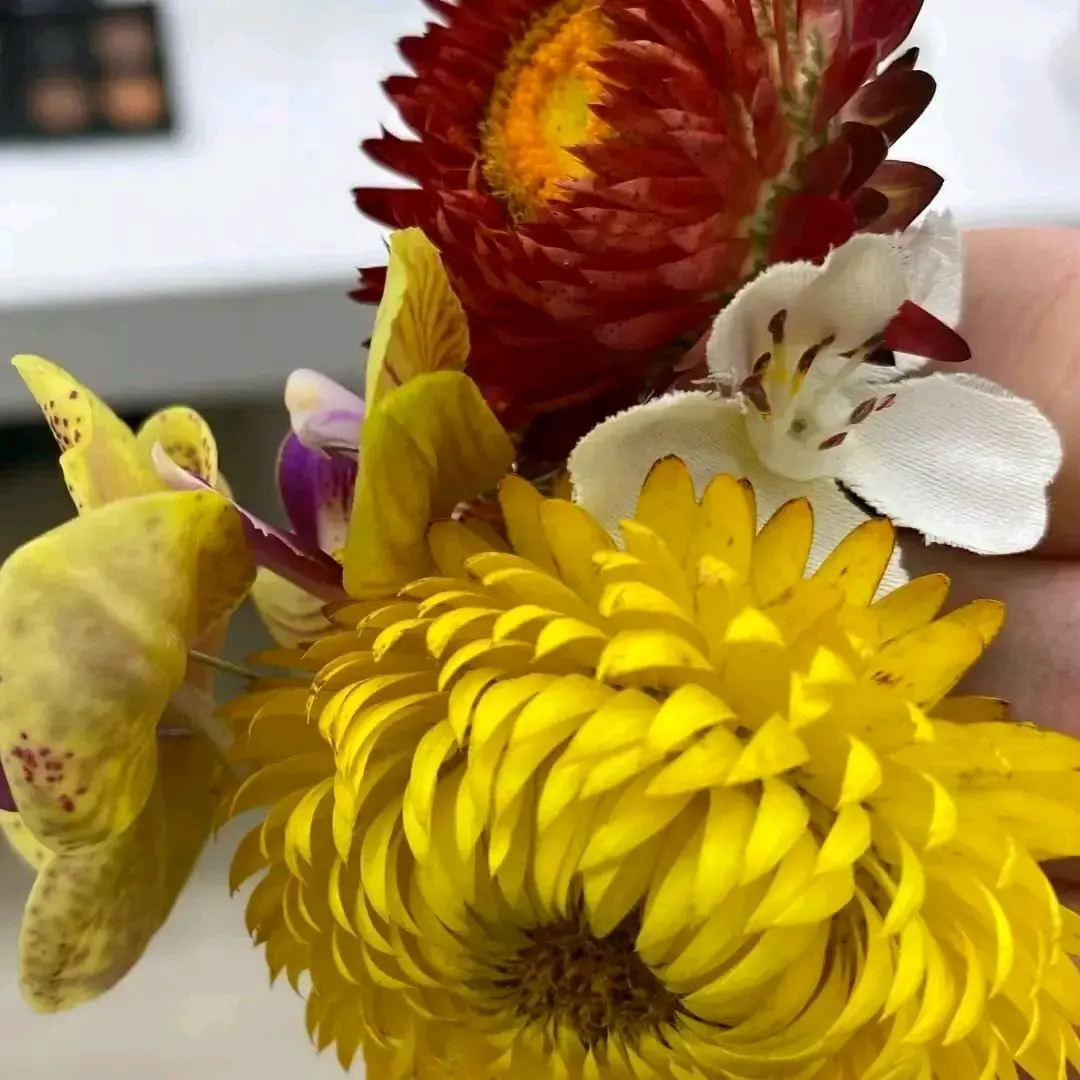 mimi next door 🐣's profile picture