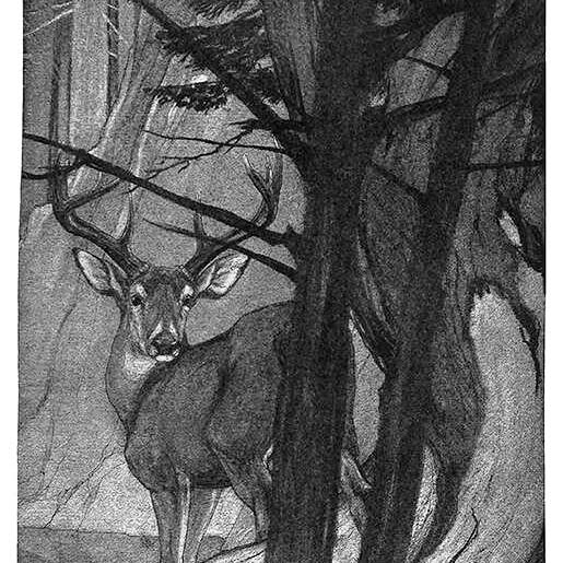 Post by enchantedbooklet