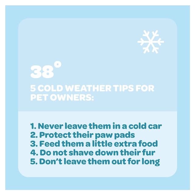 Post by carlsonpetproducts