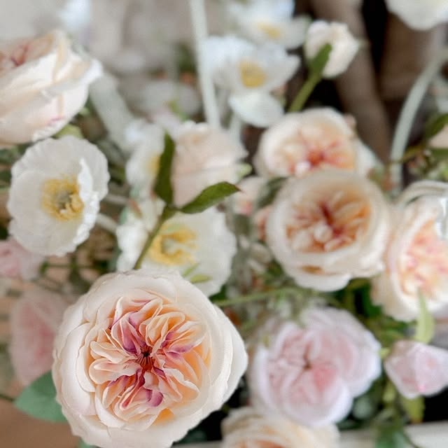 Post by rachelaclingen