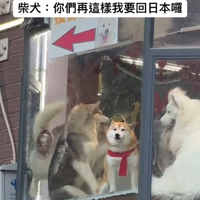 Post by seenderella_meme