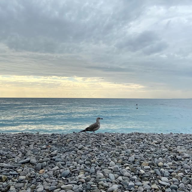 Post by mademoisellesam