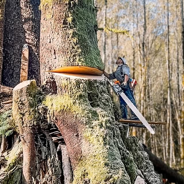 Post by westcoastsaw