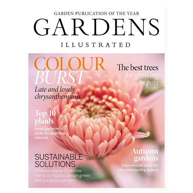 Post by stefano.marinaz