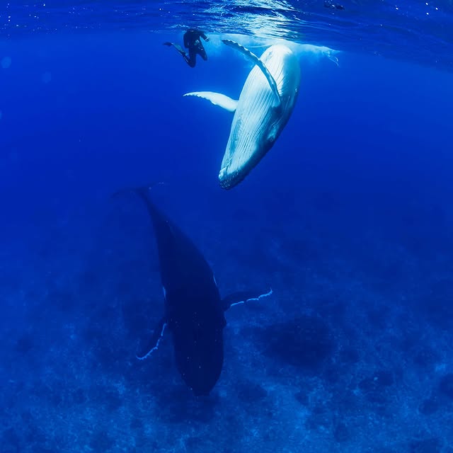 Post by reiko.alice.takahashi