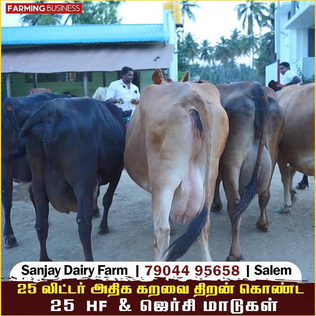 Post by farmingbusiness2020