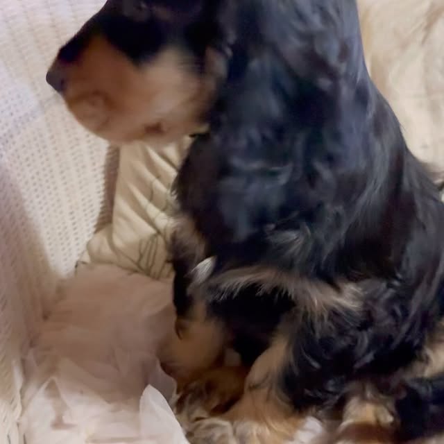 Post by timeundvision_die_blumenfee