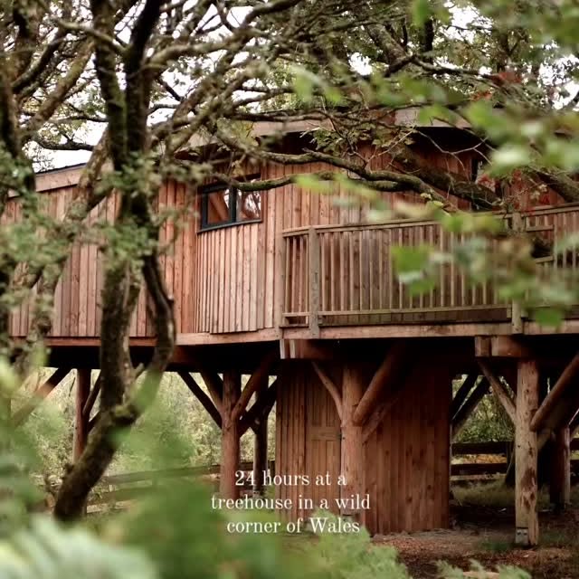 Post by canopyandstars