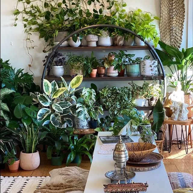 Post by plant_lovers4