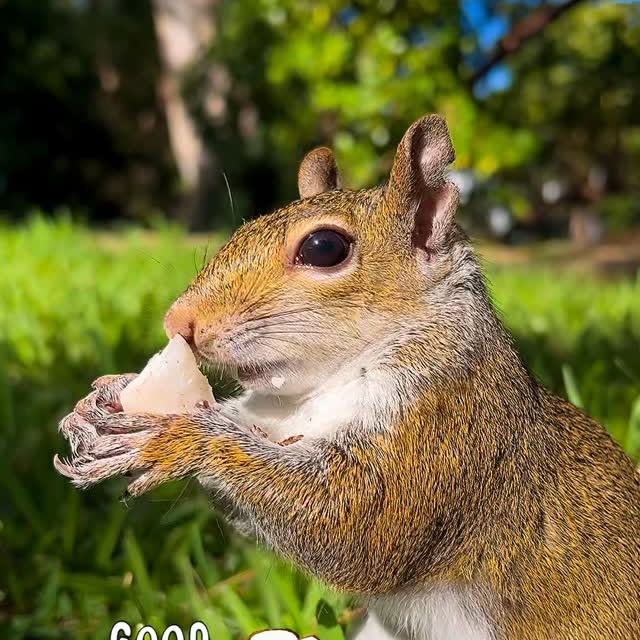 Post by ardilla.maravilla