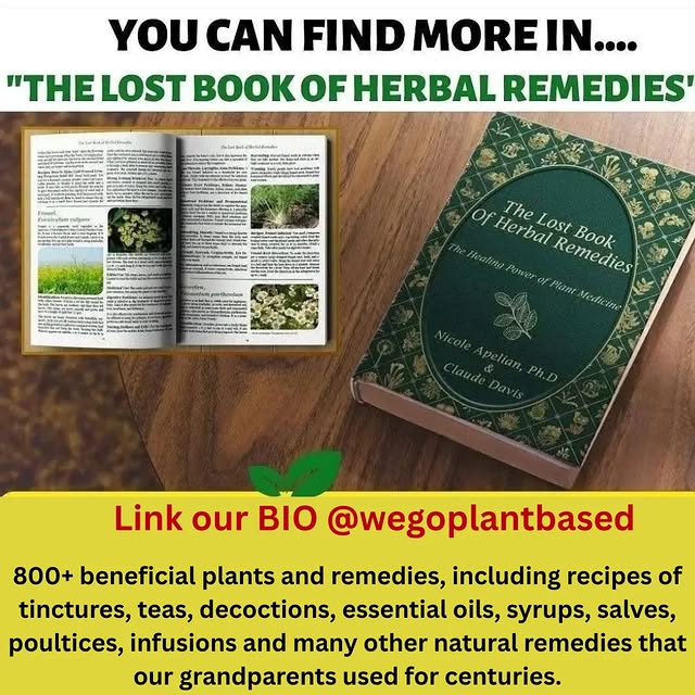 Post by wegoplantbased