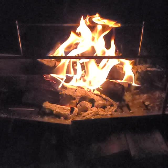 Post by shu_camp_log