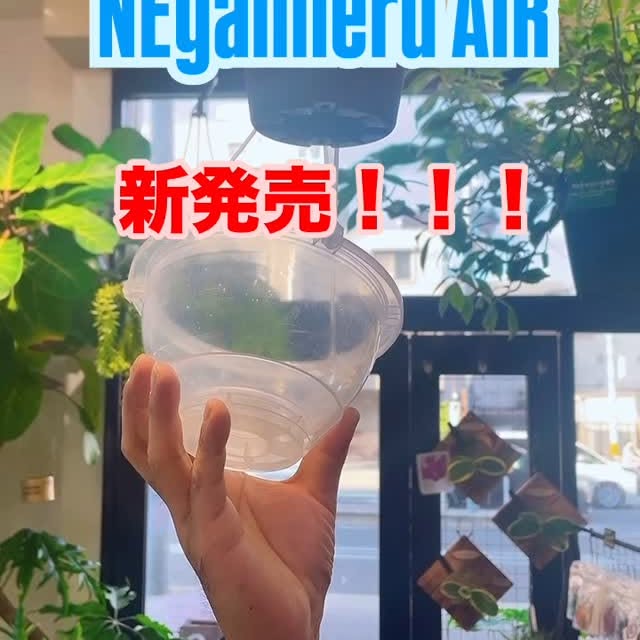 Post by garden_en2022