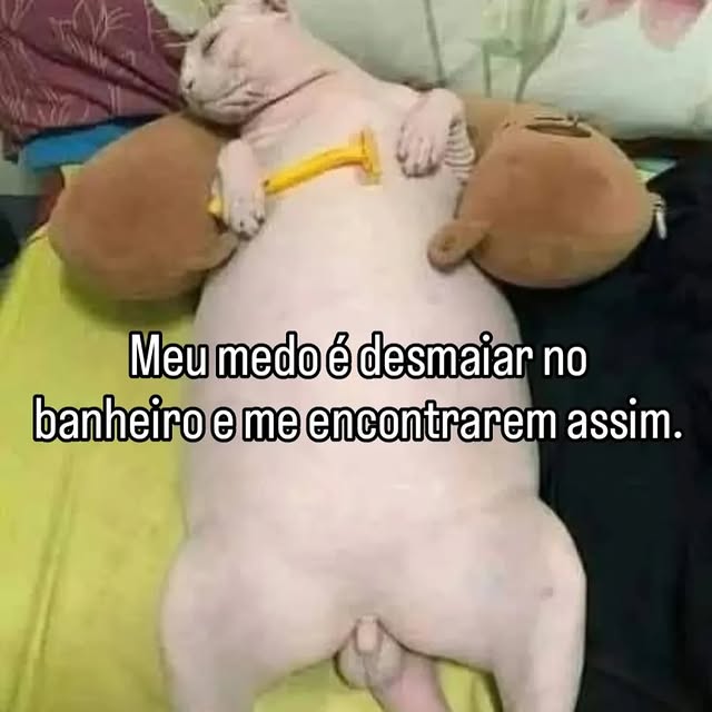 Post by allan.silva019ofc