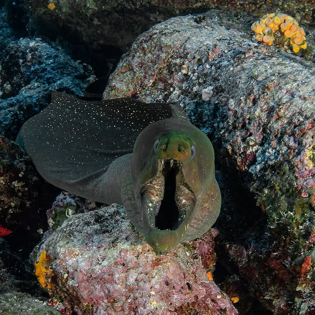 Post by michaels_bubbles