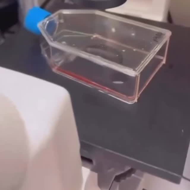 Post by realcasinoconnoisseur