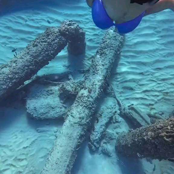 Post by scuba_diving_iglover