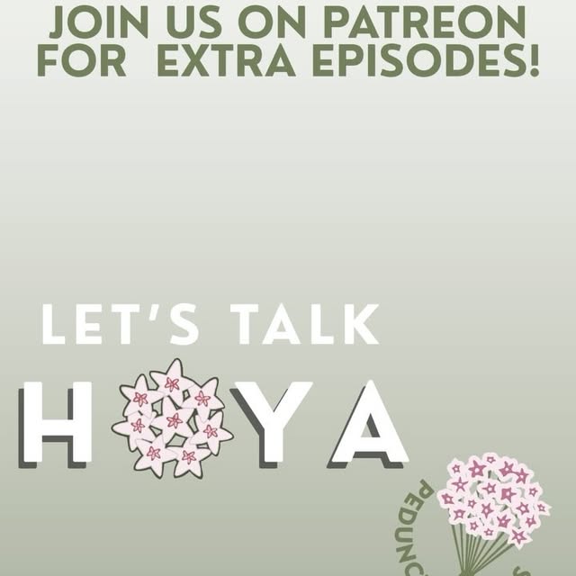 Post by lets.talkhoya