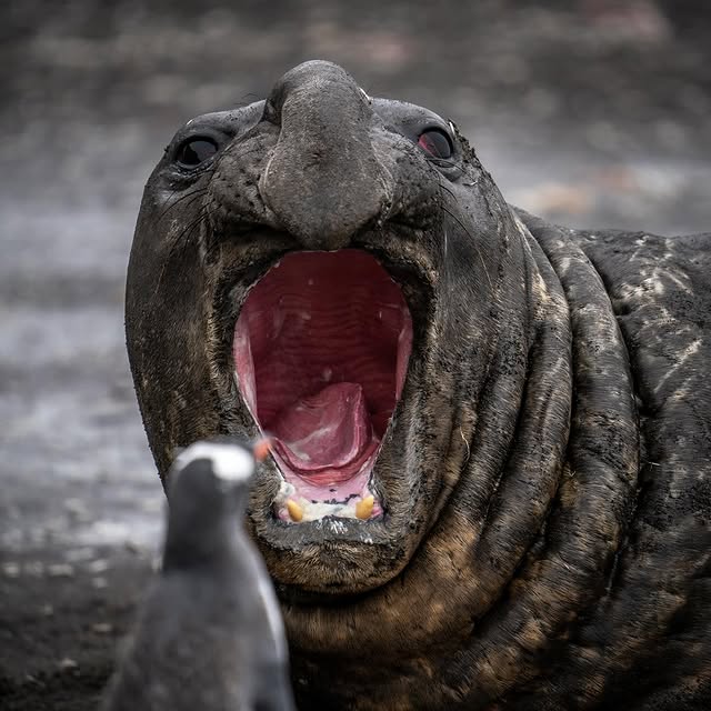 Post by jferraragallery