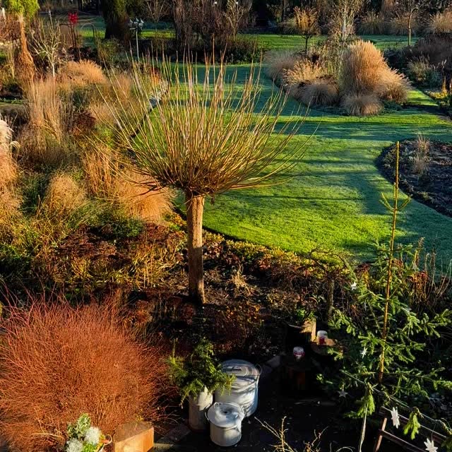 Post by garten_und_hof