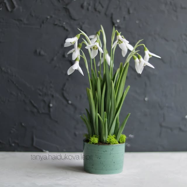 Post by tanya.haidukova.lepit