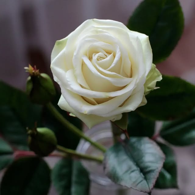 Post by marinagolovina21