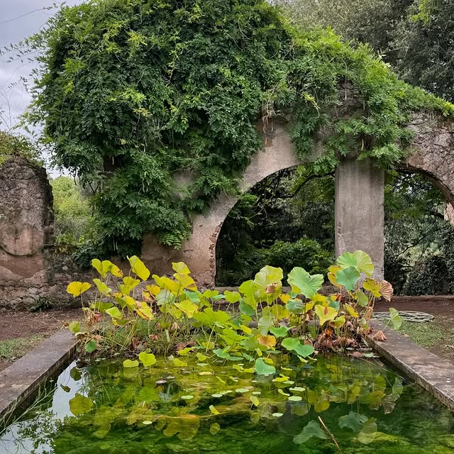 Post by danpearsonstudio