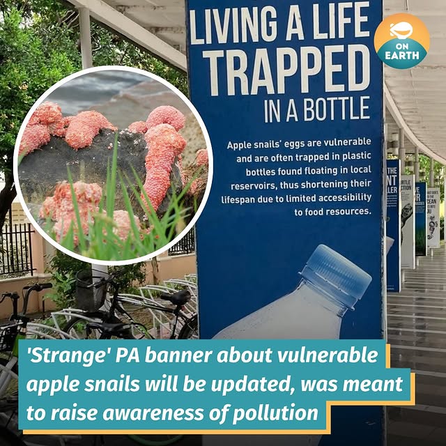 Post by mothershiponearth