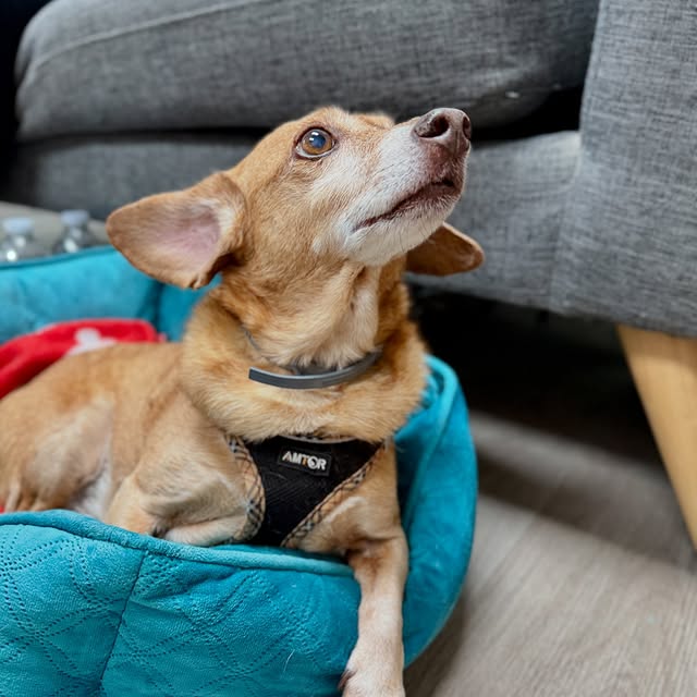 Post by wheelsfeelsusa