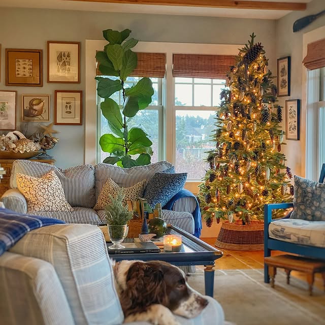 Post by mollyinmaine