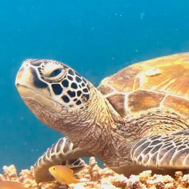 Post by scuba_junkie