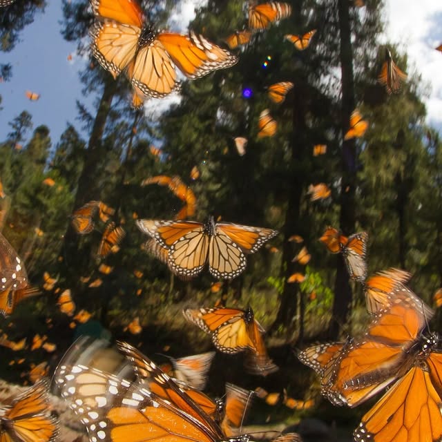 Post by cloudyhendry