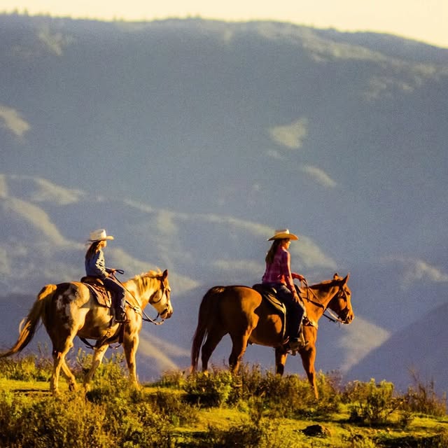 Post by bullkelp_bedrolls