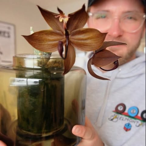 Post by philobrandon