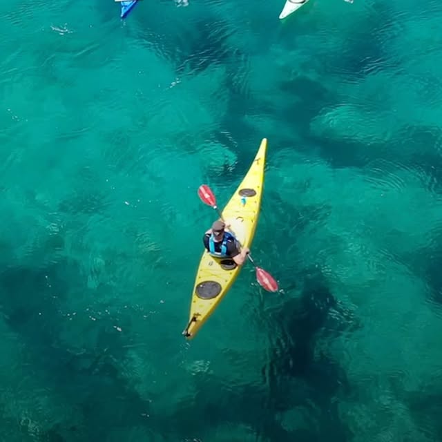 Post by dalegrenlund