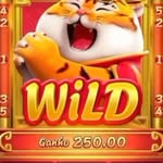 Slots Rosy's profile picture