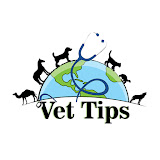 Vet Tips's profile picture