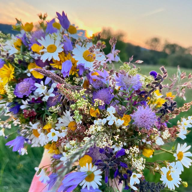 Post by mynewengland_home_de