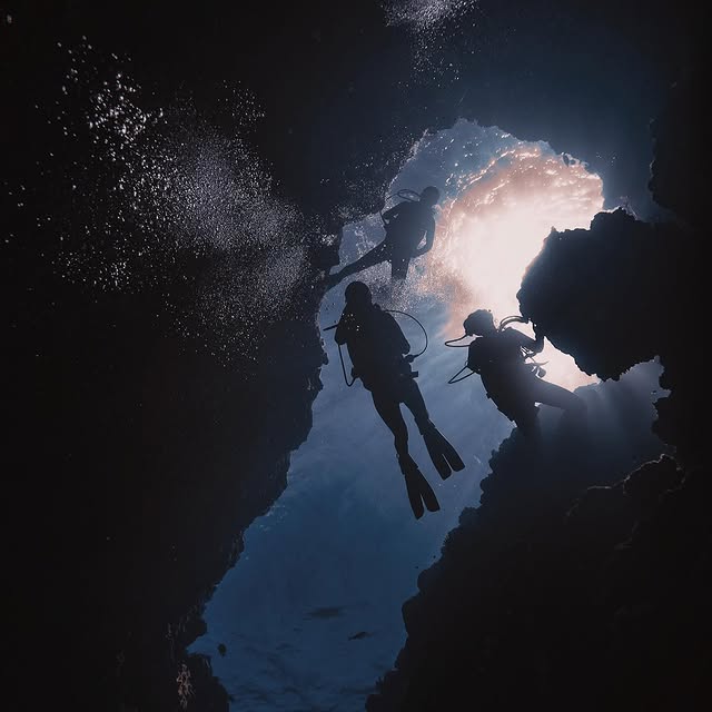 Post by scubadivetrip