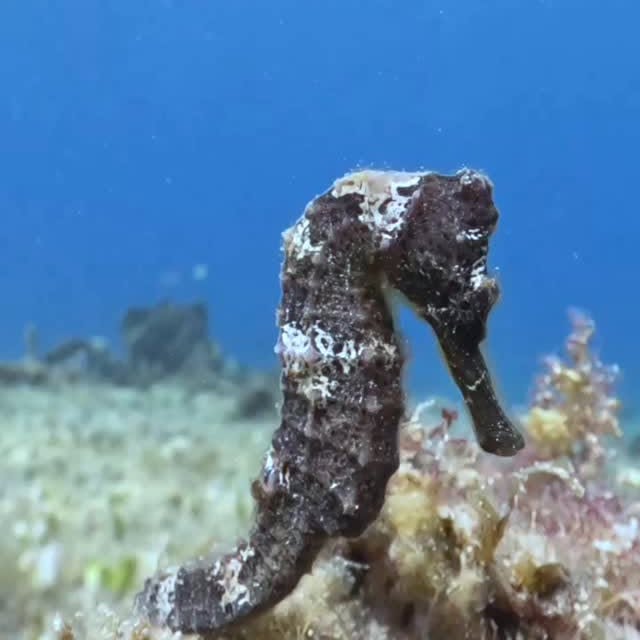 Post by brett_hoelzer