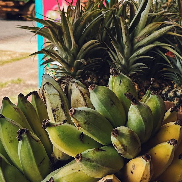 Post by projectsunny